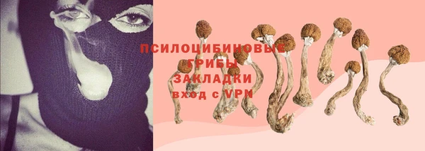 спиды Алексеевка
